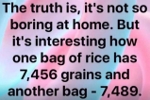 isolation rice grains.